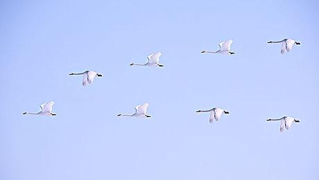 《无主之地4》玩家指出关键BUG 厂商老板只能吃瘪